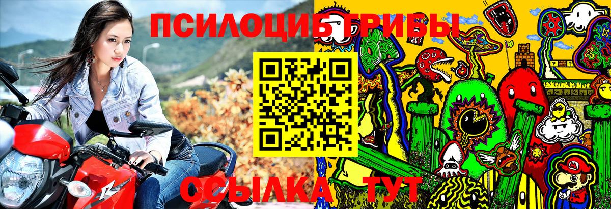 цена   Псилоцибиновые грибы мицелий  Вход с VPN  Буйнакск 