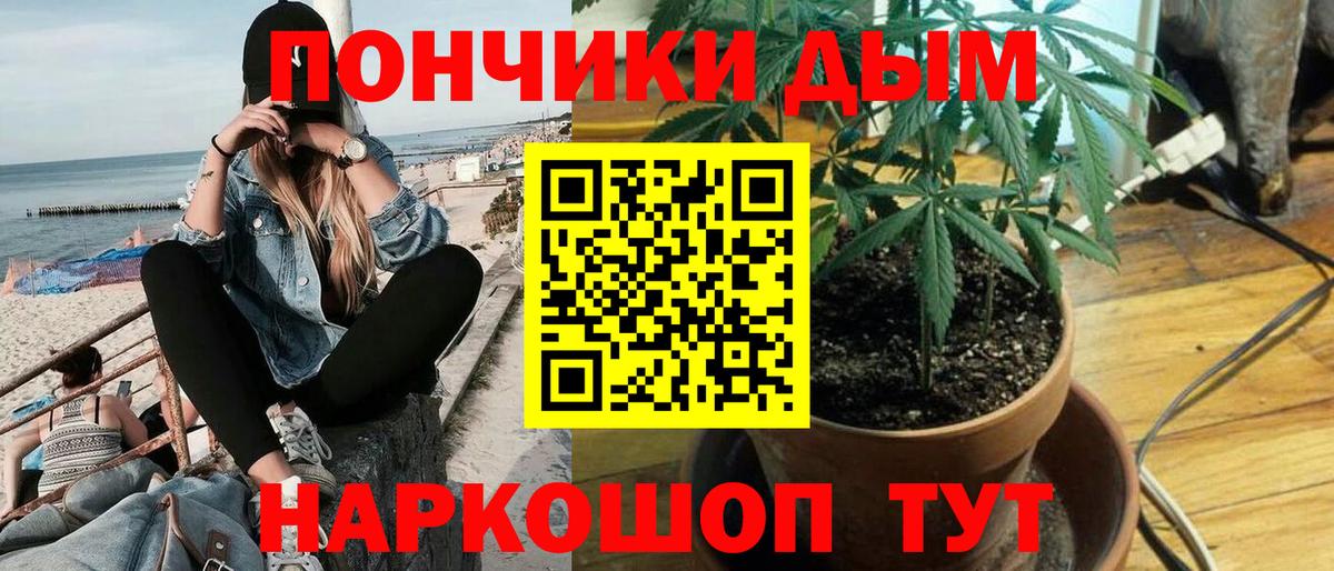 Бошки Шишки ГИДРОПОН  Бошки Шишки OG Kush  Вход с VPN  Буйнакск 